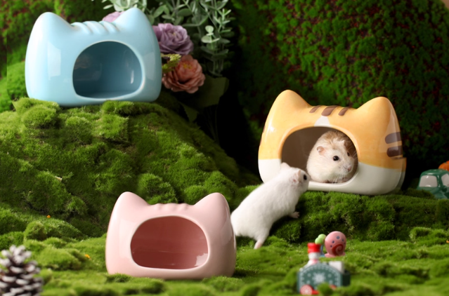 猫狗电商已成红海，小众宠物品类跨境出海TikTok突破300亿播放量