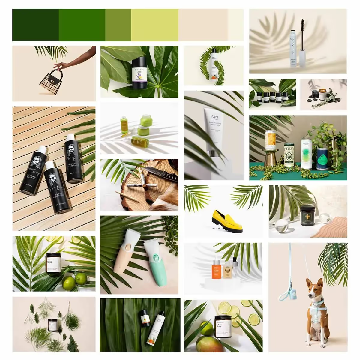 9步拍出转化率飙升的爆款带货视频