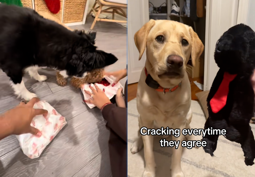 避开美区用户审美雷区：AI如何帮你完成从“中国逻辑”到“本土叙事”的降维打击？