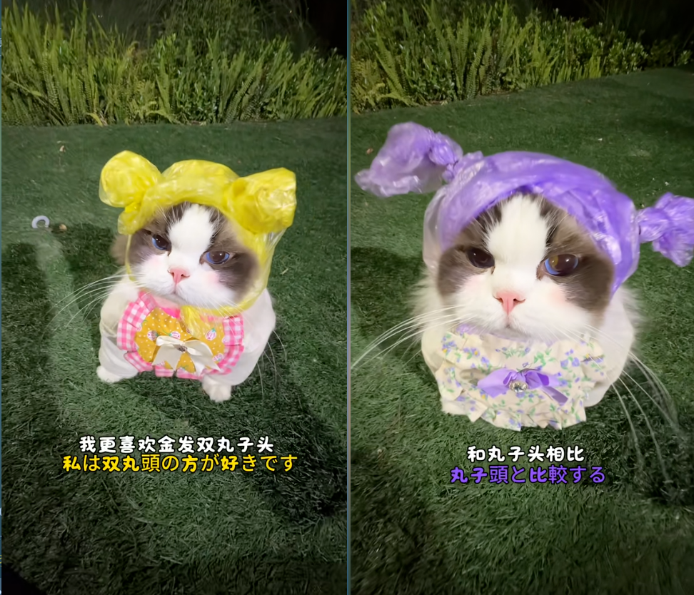 别再乱用背景音乐了！用 AI 实现“爆款 BGM 情绪平替”，安全收割美区流量