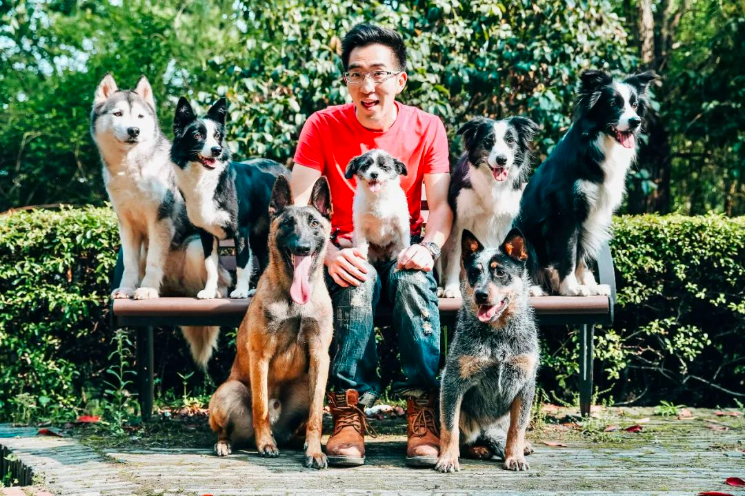 TikTok Shop宠物品牌找海外达人的真实成本：2026年完整费用指南