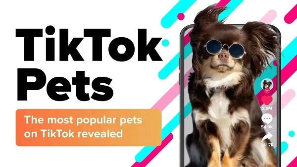 TikTok Shop宠物品类在东南亚的市场潜力与成功案例解析