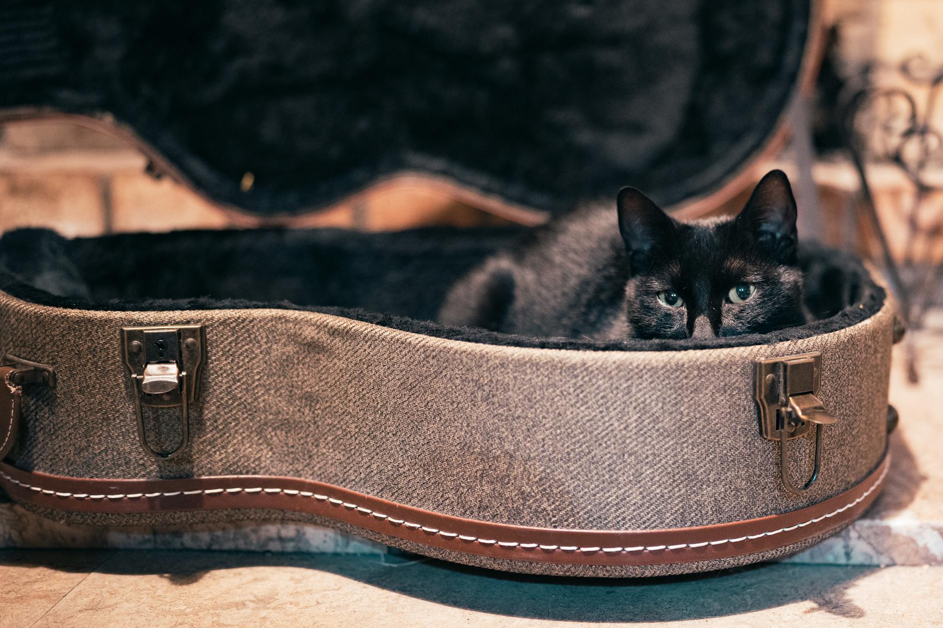 家居收纳与宠物配件类跨境电商产品展示