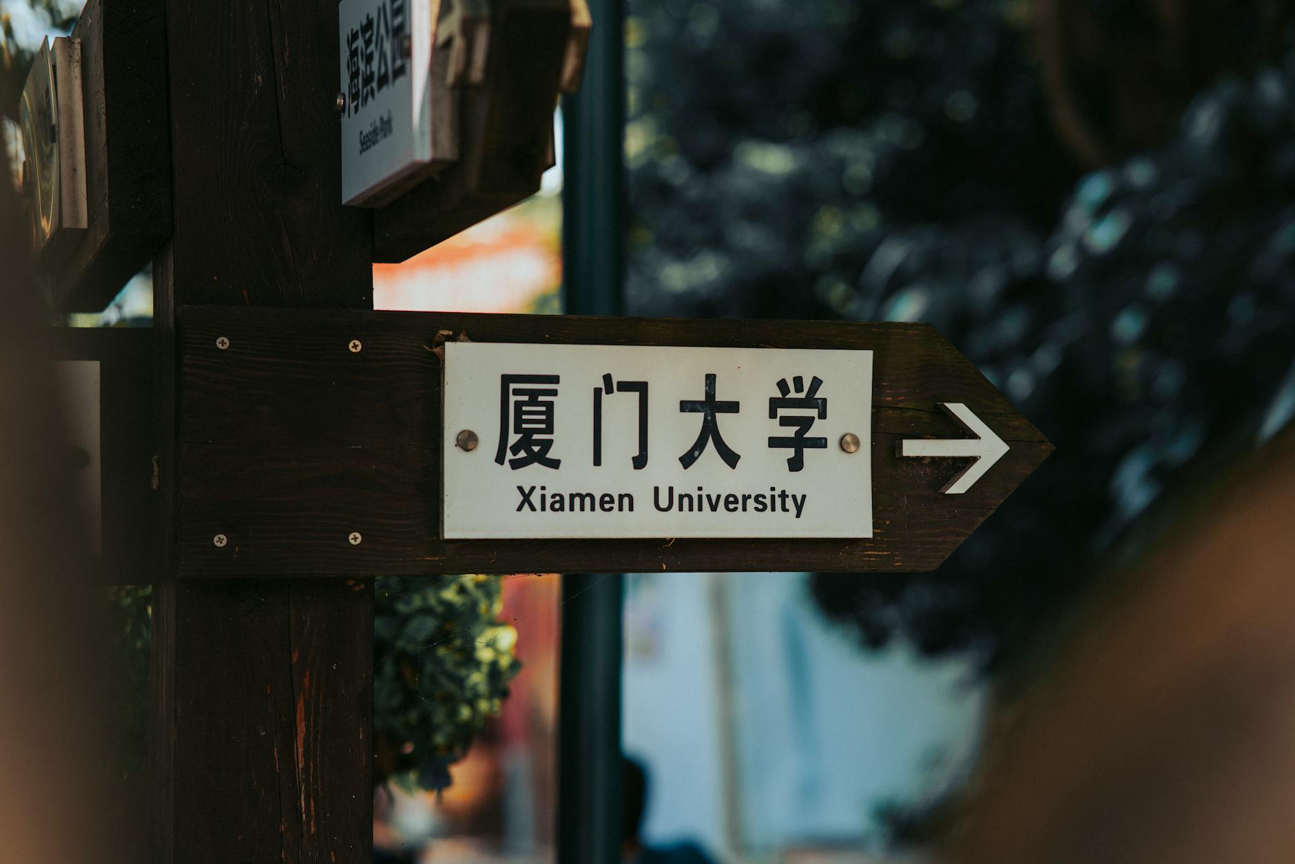 达人投放系统 品牌推荐：7天试出值不值