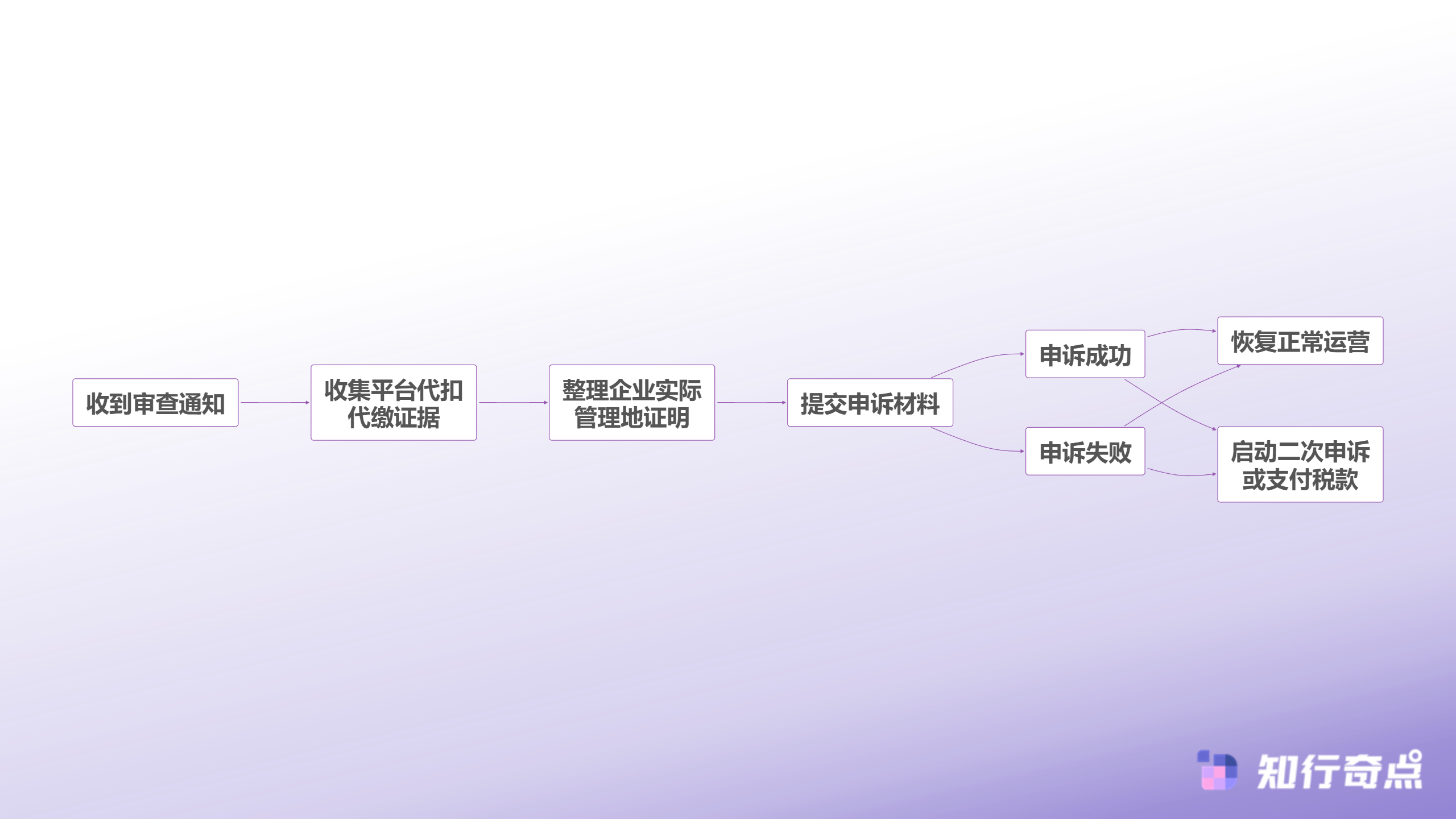 应对税局审查流程