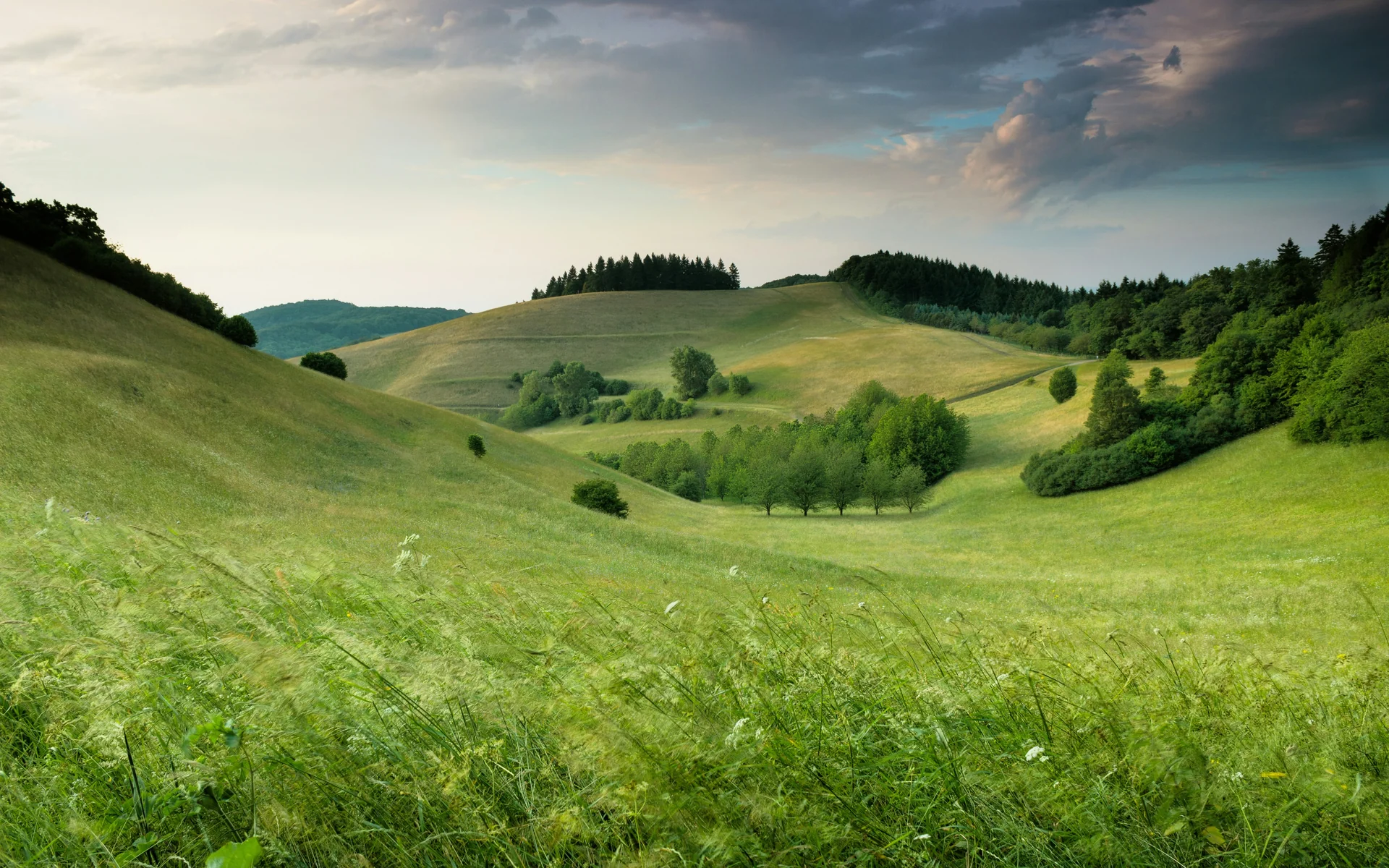 Enterprise Workspace Background